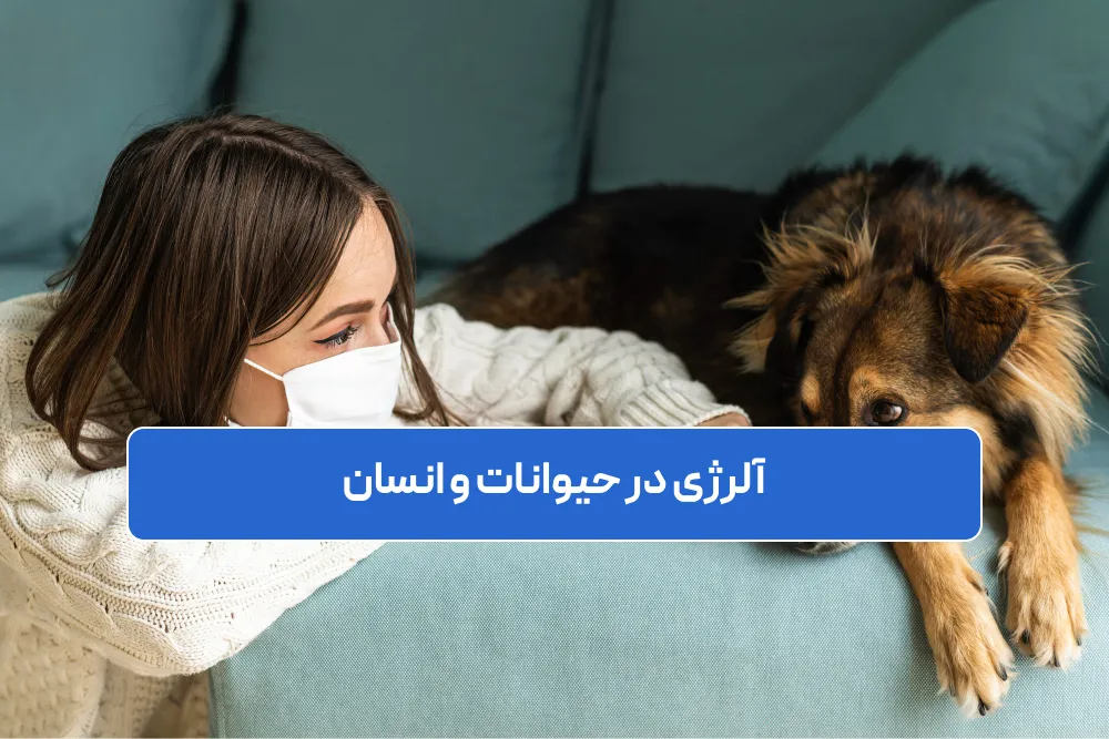 آلرژی در حیوانات و انسان