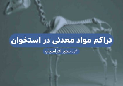 تراکم مواد معدنی در استخوان - گروه دامپزشکی ایران